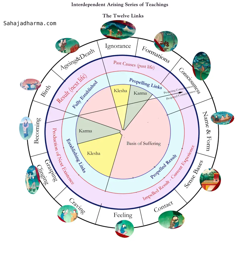 12 links interdependence
