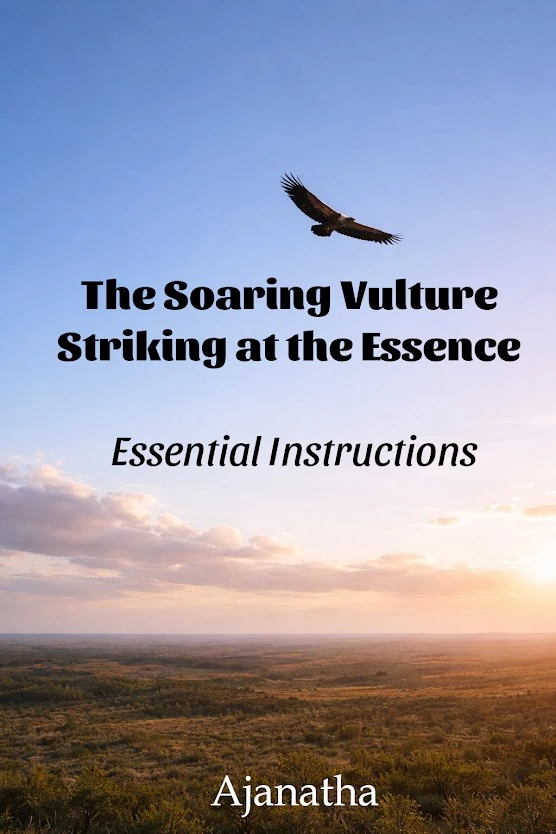 soaring vulture book cover