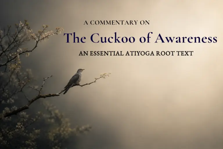 The Cuckoo of Awareness